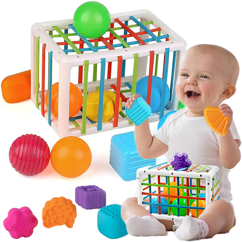 Montessori Baby Shape Sorter Toy – Fine Motor Skill Building Blocks with Cage & Soft Balls for Toddlers | Early Education Grip Training Toy Ages 6M+