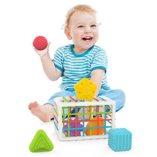 Montessori Baby Shape Sorter Toy – Fine Motor Skill Building Blocks with Cage & Soft Balls for Toddlers | Early Education Grip Training Toy Ages 6M+