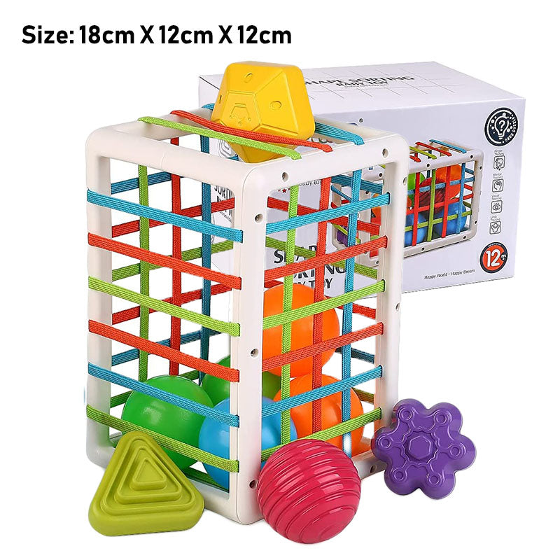 Montessori Baby Shape Sorter Toy – Fine Motor Skill Building Blocks with Cage & Soft Balls for Toddlers | Early Education Grip Training Toy Ages 6M+